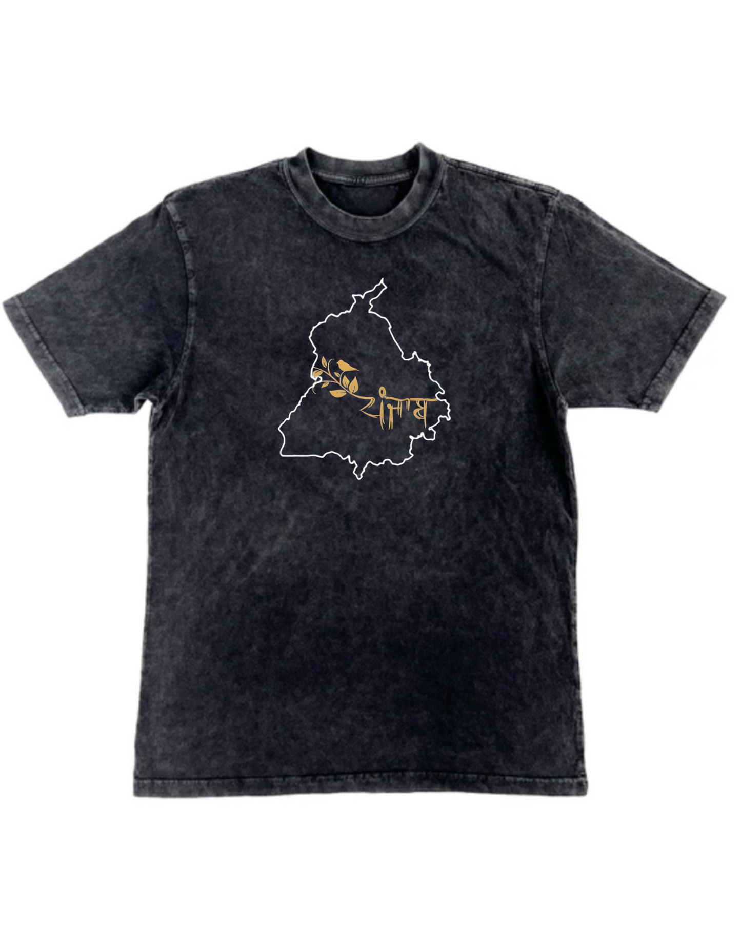 PANJAB MAP