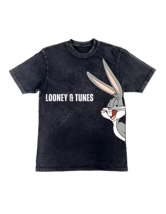 LOONEY AND TUNES